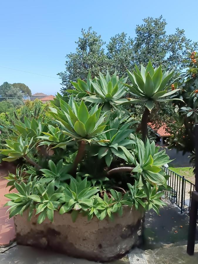 B&B Villa Lidia Acireale Kültér fotó