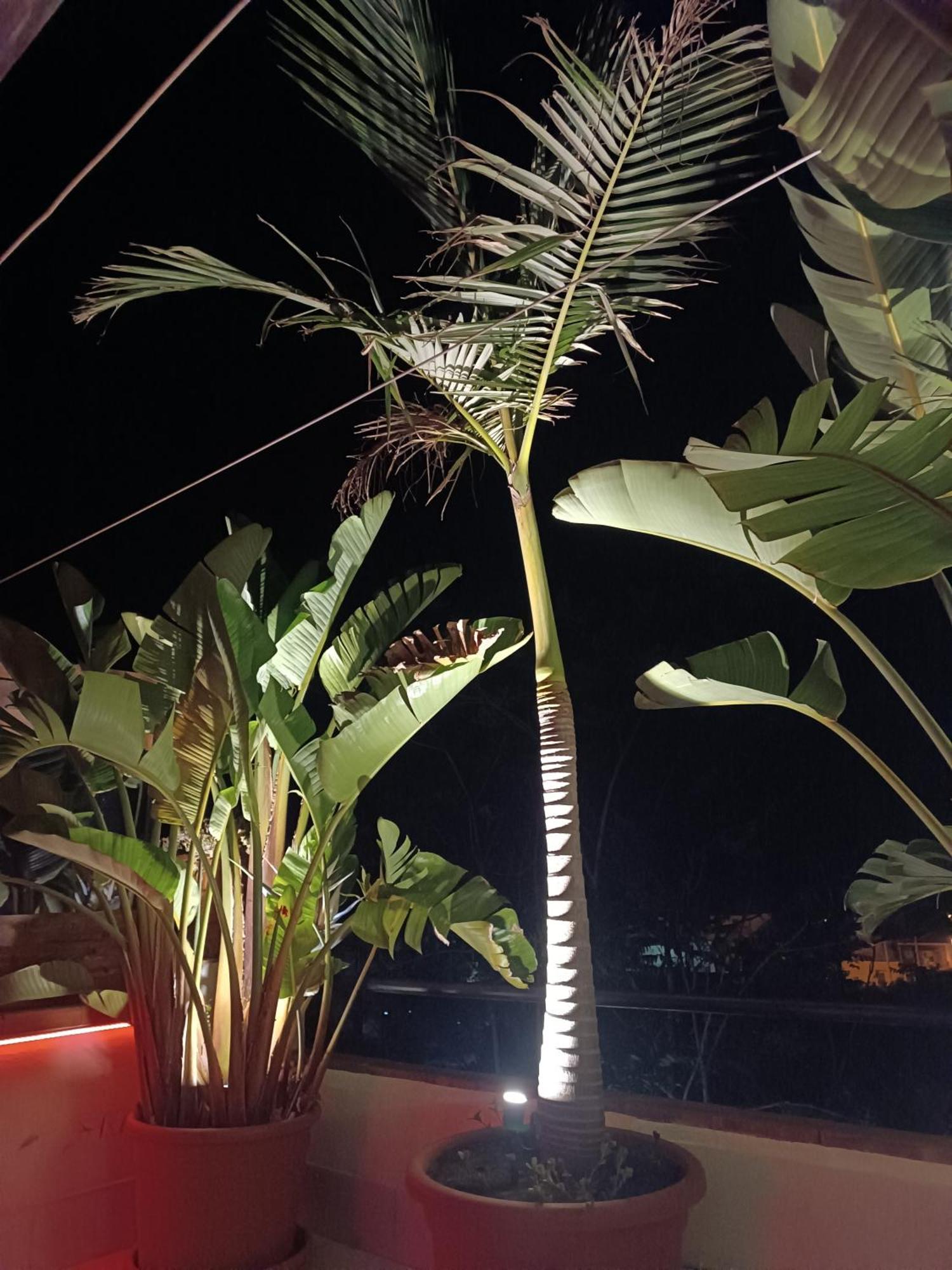 B&B Villa Lidia Acireale Kültér fotó